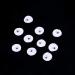 Dental Stones 10 Pcs - 2mm Tooth Crystal Ornaments & Jewelry Decorations | White Teeth Gems in Box - Buy Online on GoSupps.com
