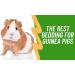BlissLo Wood Shavings Pet Bedding | Super Absorbent Odour Free Sawdust for Rabbits Chinchillas Gerbil Mice Squirrels Rats Small Pets | Softwood Natural Pet Bedding Woodchips (1kg Small Pack) - Buy Online on GoSupps.com
