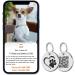 Buy MyLuckytag Stainless Steel Cat QR Code Tags - Pet Profile Location Tracking & Email Alerts - Silver - Buy Online on GoSupps.com