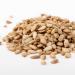 Go Raw Organic Sprouted Sunflower Seeds with Sea Salt - 14 oz (397g) - Healthy Snack - Buy Online on GoSupps.com