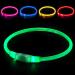 Auauy LED Light Neck Band for Dogs & Cats - USB Charging Waterproof Adjustable Safety Collar with 3 Modes (Green) - Buy Online on GoSupps.com