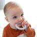 Dr. Brown's HappyPaci Silicone Pacifier & Teether Set with Red Panda Lovey Clip - Buy Online on GoSupps.com