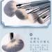 10 Professional Makeup Brush Set | Stipple Brushes | Complete Beauty Tool Kit for Flawless Application - Buy Online on GoSupps.com