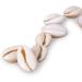 400PCS White Cowrie Shell Beads - DIY Craft Jewelry Making Supplies - Buy Online on GoSupps.com