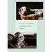 LBH Market Puppy & Kitten Feeding Tube Kit - 8 FR Kendall Tube & 35ml Syringe for Whelping & Newborn Supplies - Buy Online on GoSupps.com