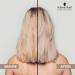 BlondMe Cool Blondes Neutralizing Spray Conditioner - Ultimate blonde care - Buy Online on GoSupps.com