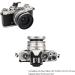 Silver Screw-in Lens Hood for Nikon Z DX 16-50mm f/3.5-6.3 VR Lens | Replaces HN-40, Allows 46mm Filter Attachment | Compatible with Nikon Z fc Z50 - Buy Online on GoSupps.com