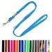 Dog leash double leash adjustable 2m / 2.40m / 2.80m / 3.50m / 5m large dogs 20mm/25mm (turquoise 20mm 2.00m) turquoise 20mm 2.00m
