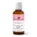 Plant Therapy KidSafe 100% Pure Essential Oils Tummy All Better 1 fl oz (30 ml)