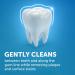 Arm & Hammer PeroxiCare Deep Clean Toothpaste Twin Pack - Fluoride Anticavity Clean Mint 6oz - Buy Online on GoSupps.com