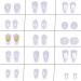 AvoDovA 150 Pairs 15 Styles Eyeglasses Nose Pads Set with Storage Box Ultra-Soft PVC Anti Slip Nosepads Transparent Screw-in Eyewear Nose Pads Push in Nose Pads for Glasses and Eyeglass Sunglasses - Buy Online on GoSupps.com