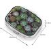 Succulent Plants Travel Pill Box | Cute 2 Compartment Organizer for Purse | Ideal Small Gift for Travelers - Buy Online on GoSupps.com