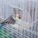 JVHLOV Transparent Bird Feeder for Budgies Parrots & Parakeets - Automatic Cage Feeder for Easy Feeding - Buy Online on GoSupps.com