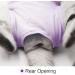 LIANZIMAU Cat Surgical Recovery Suit - Purple Medium - E-Collar Alternative & Pajama for Abdominal Wounds - Indoor Pet Clothing - Buy Online on GoSupps.com