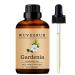 Gardenia Essential Oils 60ML Pure and Natural Essential Oil for Aromatherapy Diffuser - 2 Fl Oz (120 Gardenia)