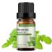 GREENSLEEVES Marjoram Essential Oil, 10ml Pure Plant-Based Fragrance Oil for Aromatherapy, Essential Oils for Diffuser, Air Freshener, Massage, Bath Bomb, Scented Candle Soap Making