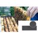 BEEXTM Plastic Foundation Sheets 10-Pack - Waxed Coated Lang's Beehive Bee Frames - Portable Honeycomb Nest for Brood Box - Beehive Equipment - Wide Size - Buy Online on GoSupps.com