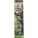PUP Go Children's Dinosaur Projector Flashlight - 24 Images Educational Science Gift for Kids Ages 3+ - Fun History Slide Show Beamer Toy - Buy Online on GoSupps.com