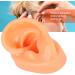 Flexible Silicone Left Ear Model for Realistic Earwax Removal Simulation - Buy Online on GoSupps.com