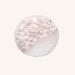Catrice Endless Pearls Beautifying Primer | Vegan Alcohol-Free Paraben-Free | Transparent Radiance (30ml) - Buy Online on GoSupps.com