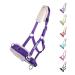 netproshop Cavesson Lunging Aid for Groundwork Shetland Pony Cob Full Size: Cob Colour: Purple Cob Purple