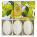 "Agrumi di Boboli" Bar Soaps Citrus Scent "Bellosguardo" Collection - Pack of 3 Soaps 5.3 Ounces (150g) Each Gift Box Italian Import