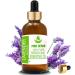 Pure Herbs Lavender Essential Oil 15ml - Premium Aromatherapy for Relaxation & Sleep - Buy Online on GoSupps.com