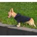 Idepet Dog Sweater & Pet Clothes - Warm Coat for Small Dogs & Cats (Medium Black) - Buy Online on GoSupps.com