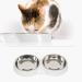 Catit Shallow Double Food Bowl - White | Sleek & Modern Design - Buy Online on GoSupps.com