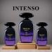 L'orientale Fragrances Collection Night De Paris Intenso (100ml) - Buy Online on GoSupps.com