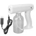 Blue Light Nanometer Sprayer Hair Care Moisturizing USB Rechargeable Mist Cleaning Spray Gun 800ml