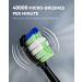 JTF Sonic Electric Toothbrush for Adults - Rechargeable Power Toothbrush with 6 Brush Heads, Smart Timer, 5 Modes, Whitening, Black - Buy Online on GoSupps.com