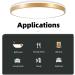 Horevo 30cm Bluetooth Ceiling Lamp - Dimmable & Color-Changing Remote Control 24W Champagne Gold Light & Speaker for Kids Room and Bedroom - Buy Online on GoSupps.com