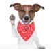 Adjustable Dog Bandana Headscarves for Small Dogs & Cats | Red Neckerchief (M) - Buy Online on GoSupps.com