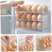 NAMOARLY Egg Storage Box Clear Drawer Plastic Eggs Egg Organizer for Refrigerator Egg Rack Devil Crisper - Buy Online on GoSupps.com