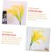 Zerodeko 12 Pcs Simulated Rice Fake Wheat Ears Wheat Ears Dried Flowers Plants Decor Natural Home Decor Rhinestone Kit for Teeth Faux Plant Artificial Bush Greenery Plastic Household Straw Yellowx3pcs 48X15CMx3pcs - Buy Online on GoSupps.com