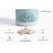 Essential Prenatal Multivitamin - 100% Natural Complete Nutrition for Expecting Mothers | Shop Internationally - Buy Online on GoSupps.com