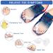 Haofy Hallux Valgus Toe Spreader Set - Silicone Gel Separator for Foot Pain Relief & Bunion Correction - Buy Online on GoSupps.com