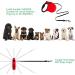 Etaccu Rollerin Retractable Dog Leash - 5m One-Button Block Reflective Non-Slip Handle for Small/Medium Dogs up to 20kg - Red - Buy Online on GoSupps.com