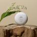 SUPEREGG This Moment Hand Care | Soft & Silky Hands with Niacinamide & Murumuru Butter | 60 ML - Buy Online on GoSupps.com