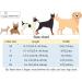 Shop Aring Pet Halloween Dog Collars - Cute Pumpkin & Skull Designs for Large Dogs | Durable Cotton & Metal Buckle | Perfect for Halloween Celebrations - Buy Online on GoSupps.com