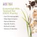 Aura Cacia Crown Chakra Roll-On - Organic & GCMS Tested - 9.2 ml - Buy Online on GoSupps.com