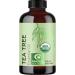 Organic Tea Tree Essential Oil - 100% Organic Tea Tree Oil for Hair Skin and Nails Plus Cleansing Face Oil - Pure Tea Tree Oil Dry Scalp Treatment Organic Hair Oil Natural Foot Soak and Nail Cleaner Organic Tea Tree 1 Fl O…