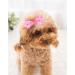 50 Pcs Assorted Dog Hair Bows with Elastic Rubber Bands Cute Patterns Hair Grooming Accessories for Small Dog Cat Puppy - Buy Online on GoSupps.com