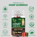 Legend - High Potency Hemp Gummies for Restful Sleep Calm Inflammation Pain Fruity Flavors Organic Hemp Gummies Hemp Extract Gummies (60 Gummies) Extra Max - Buy Online on GoSupps.com