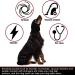 3 Pcs Calming Dog Ear Muffs for Anxiety Relief - Noise Protection & Warmth for Dogs & Cats - Buy Online on GoSupps.com