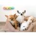 YUSHUD Cat Litter Deodorizer For All Kinds Cat Litter Box Solid Air Freshener Pet Odor Absorbing For Dog Cat Litter Toilet Pet Odor Absorbing Solid Air - Buy Online on GoSupps.com