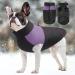 Femax Waterproof Dog Coat - Warm Winter Jacket for Small Medium & Large Dogs - Purple XL (Breast 48cm Back 39cm) - Perfect Cold Weather Pet Clothing - Buy Online on GoSupps.com