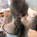 Shop Sacjkkt 3-Piece Bird Nest Hairpin Set | Lazy Birds Nest Plate Hairpin | Crystal Horses Ponytail Holder Clip | Bird-Shaped Hair Clips in 3 Colors - International Shipping Available! - Buy Online on GoSupps.com