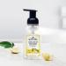 J.R. Watkins Foaming Hand Soap 9 fl oz 3 Pack - Lemon - Moisturizing, All Natural, Alcohol-Free - Cruelty-Free, USA Made - Pump Dispenser - Pack of 3 - Buy Online on GoSupps.com